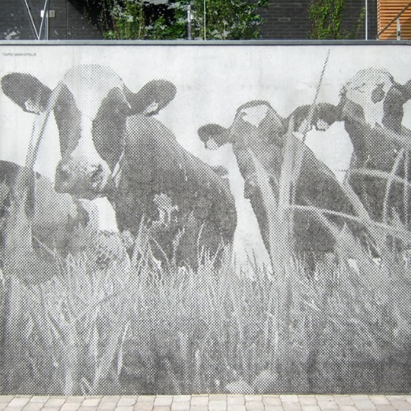 Funktionalität und Ästhetik vereint: Böden und Gehwege neu gedacht