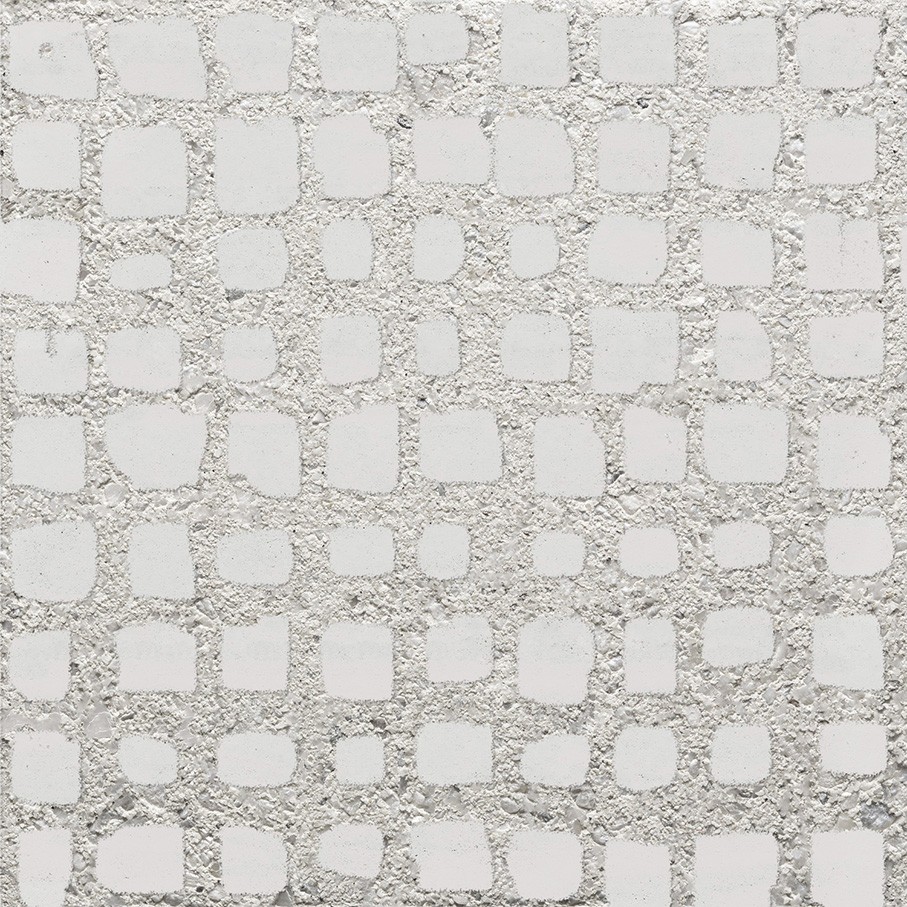 Turtle white